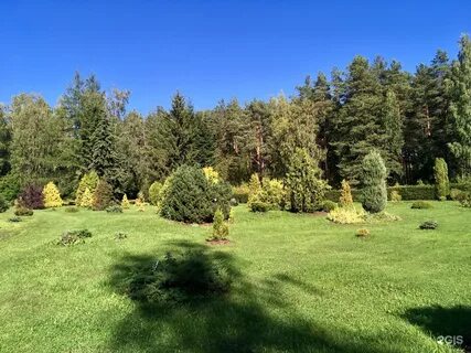 Ботанический сад петрозаводск