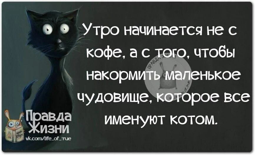 Новая правда жизни. Правда жизни. Смешные цитаты с картинками правда жизни. Высказывания правда жизни. Правда жизни картинки с надписями.