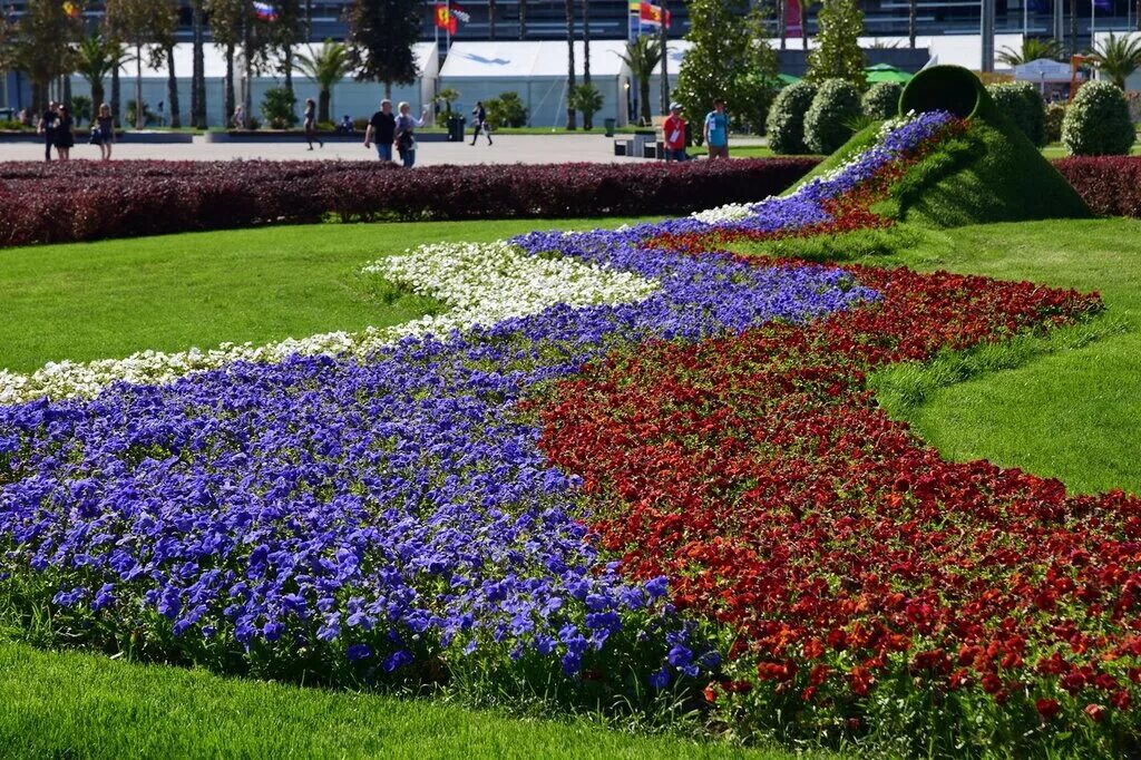 рабатка с тюльпанами. цветы на поляне. клумба для цветов. циния в рабатке. виола королевская клумба.
