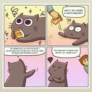 Comic кошки