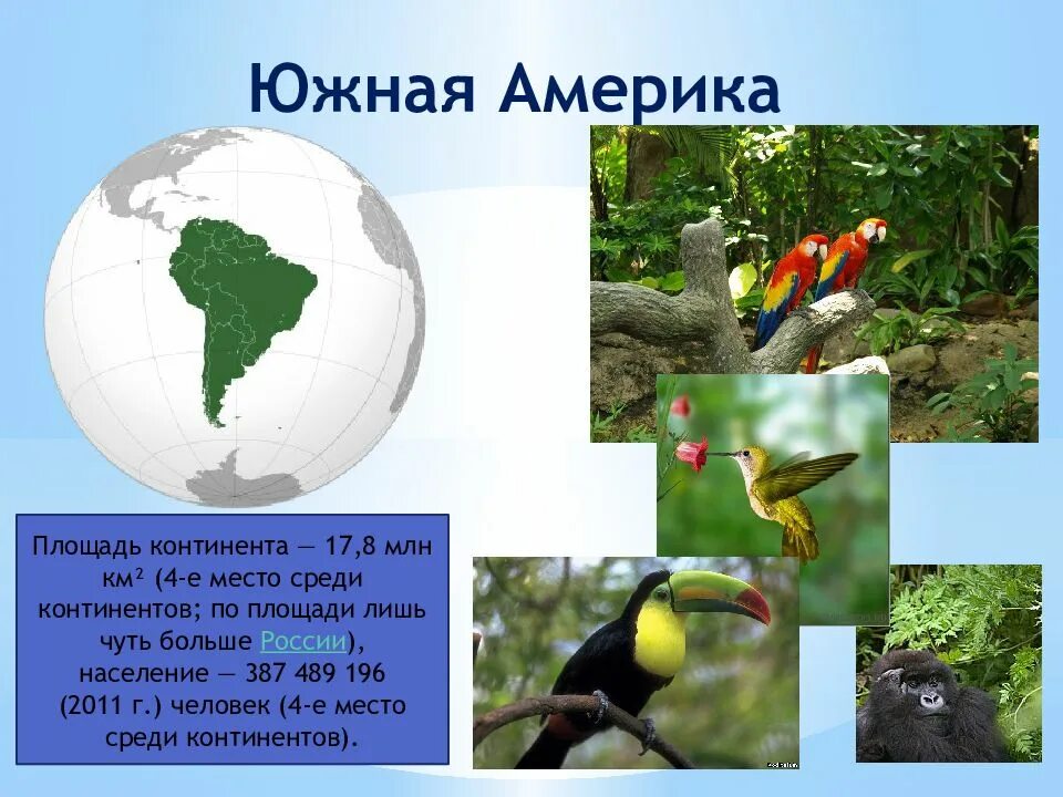 Сведения о материке южная америка. Южная америка презентация 2 класс окружающий мир плешаков. Южная америка гальинас. Презентация на тему южная америка. Путешествие по материкам южная америка.