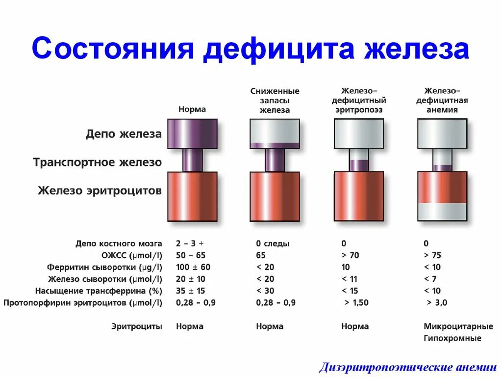 Почему гемоглобин ниже нормы. Показатели гемоглобин, ферритин сывороточное железо. Железо крови при железодефицитной анемии. Признаки дефицита железа. Гемоглобин ферритин железо показатели нормы.