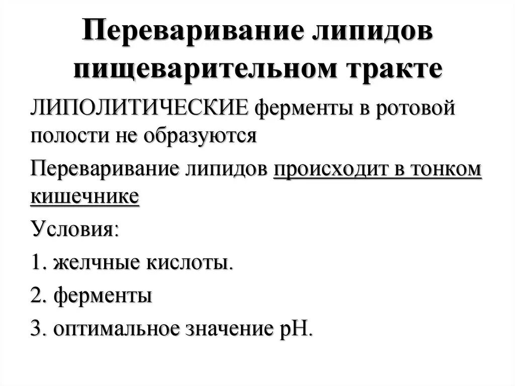 Ферменты расщепления липидов. Этапы переваривания и всасывания липидов. Этапы переваривания липидов в желудочно-кишечном тракте. Ферменты переваривания липидов. Переваривание липидов биохимия.