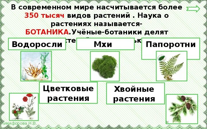 Презентация по окружающему миру для 3 класса "Разнообразие растений"