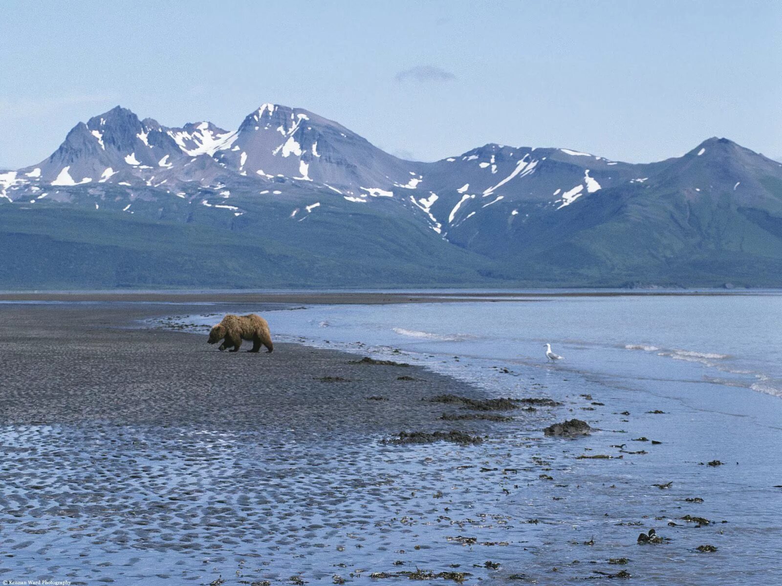 гору 3 медведя. гора три сестры канада. гора три медведя. тыва гора три медведя фото. красноярский край гора три медведя.