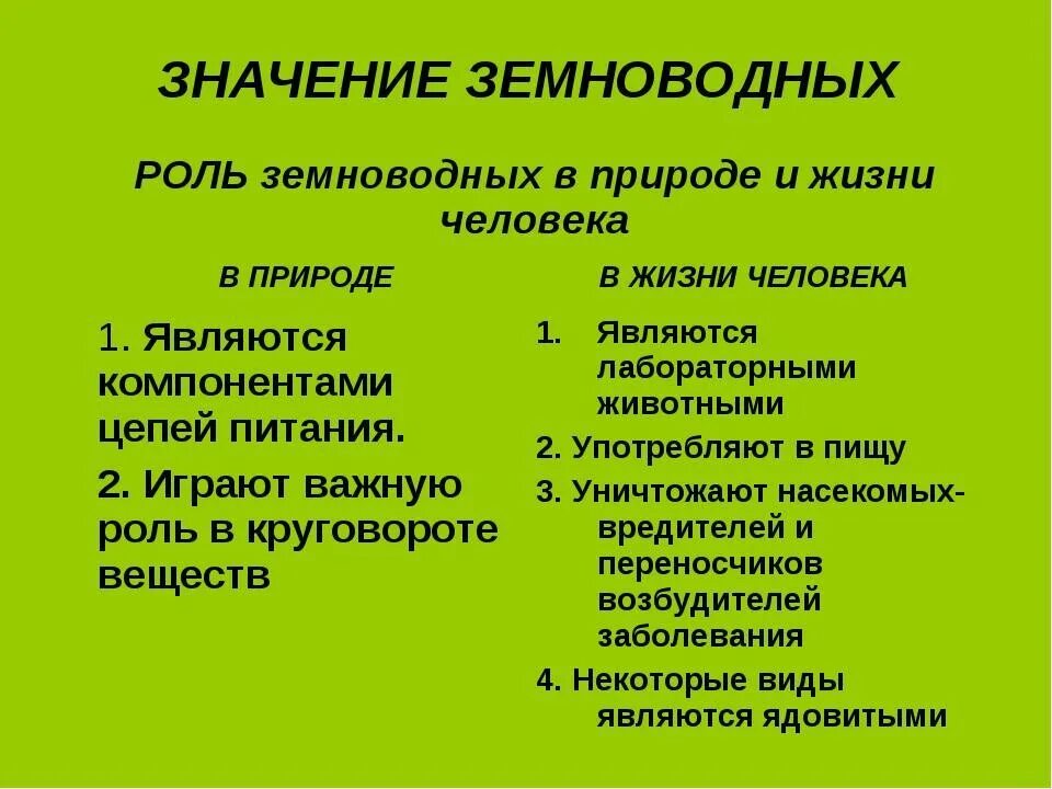 Какое значение земноводных в жизни человека. Роль земноводных в природе. Значение земноводных в природе и жизни человека. Роль земноводных в природе и жизни человека. Значение земноводных в природе и жизни.