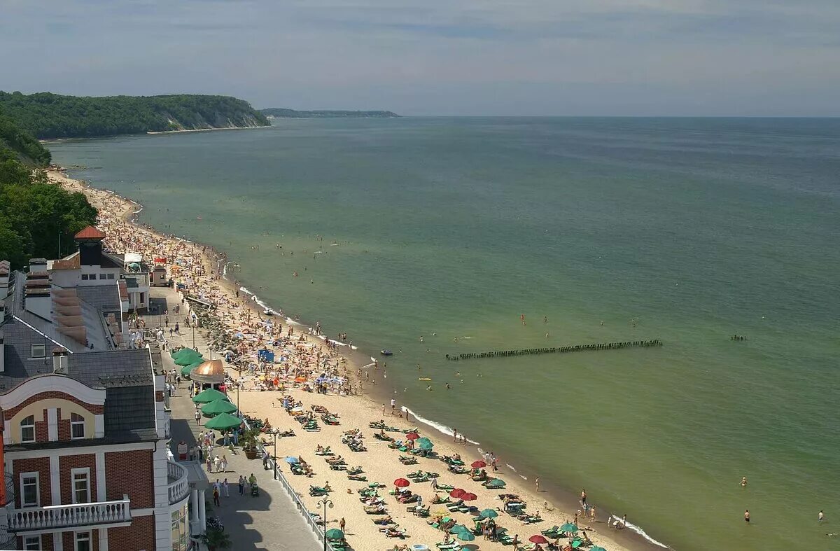Курортный светлогорск. Отдых в калининграде на море. Балтийское море курорт светлогорск. Светлогорск побережье балтийского моря. Балтийское море зеленоградск светлогорск.
