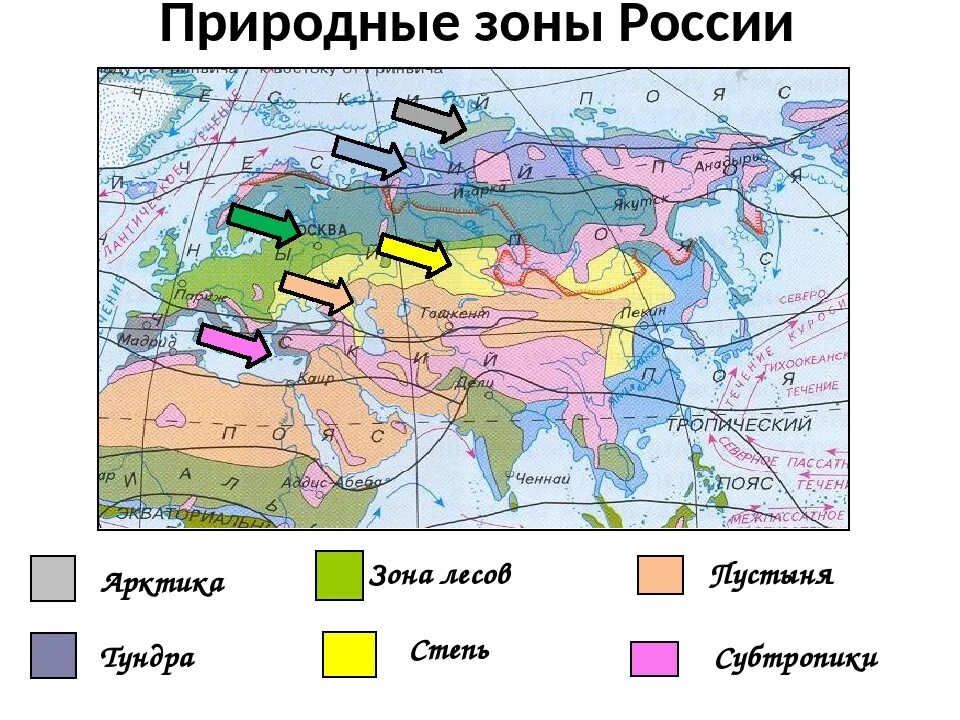 Субтропики расположение. Карта природных зон. Природные зоны России. Карта природных зон России. Карта природных зон России субтропики.