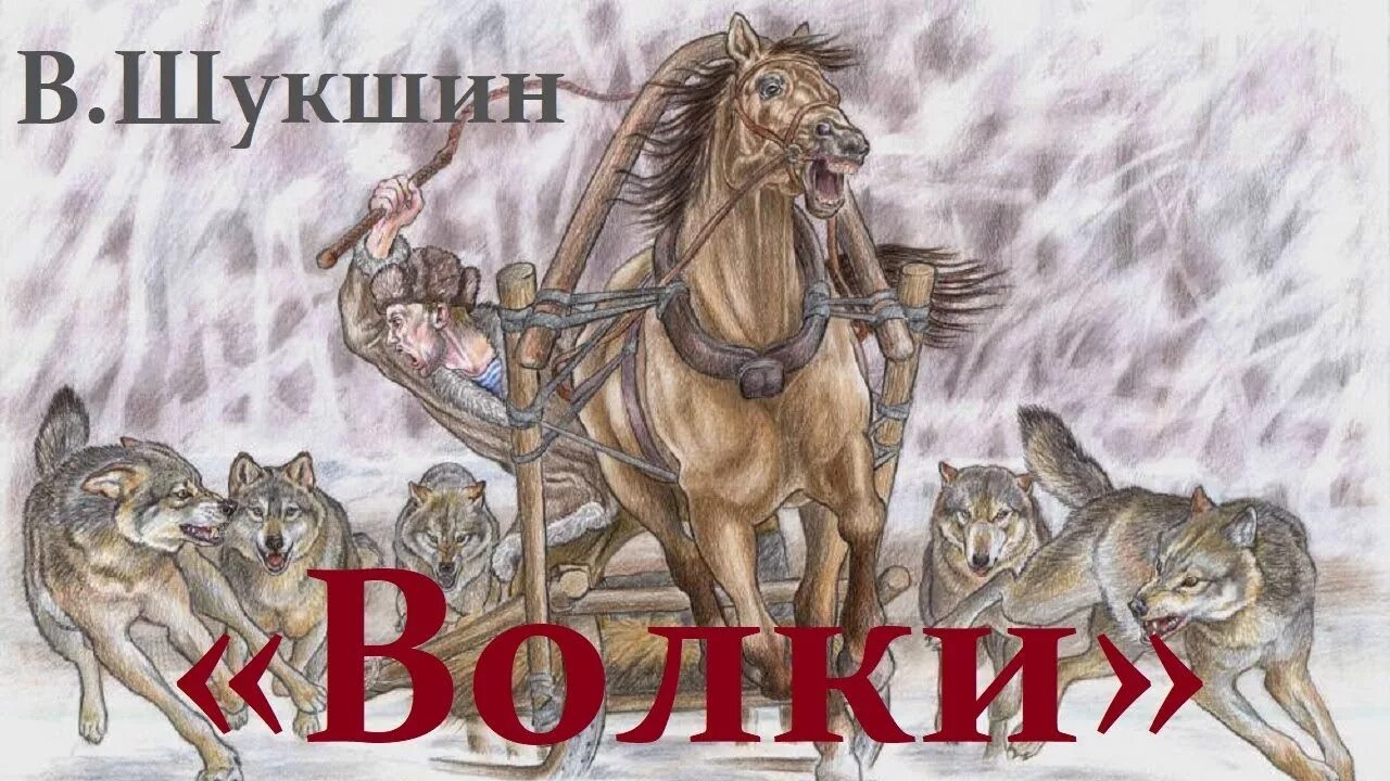 Шукшин волки. Произведения Шукшина волки. Произведение волк. Шукшин волки иллюстрации.