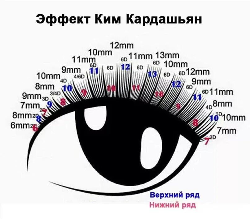 Мокрый эффект ресниц 2д схема. Эффект ким наращивание ресниц схема. схема наращивания ресниц ким кардашьян. наращивание ресниц ким кардашян эффект схема. эффект кайли наращивание ресниц 2д схема.