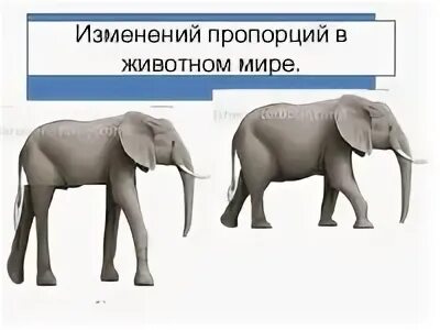 Конспект урока пропорции