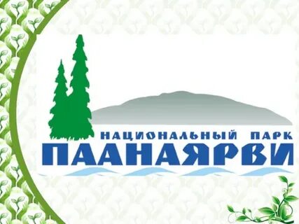 Хутор елки