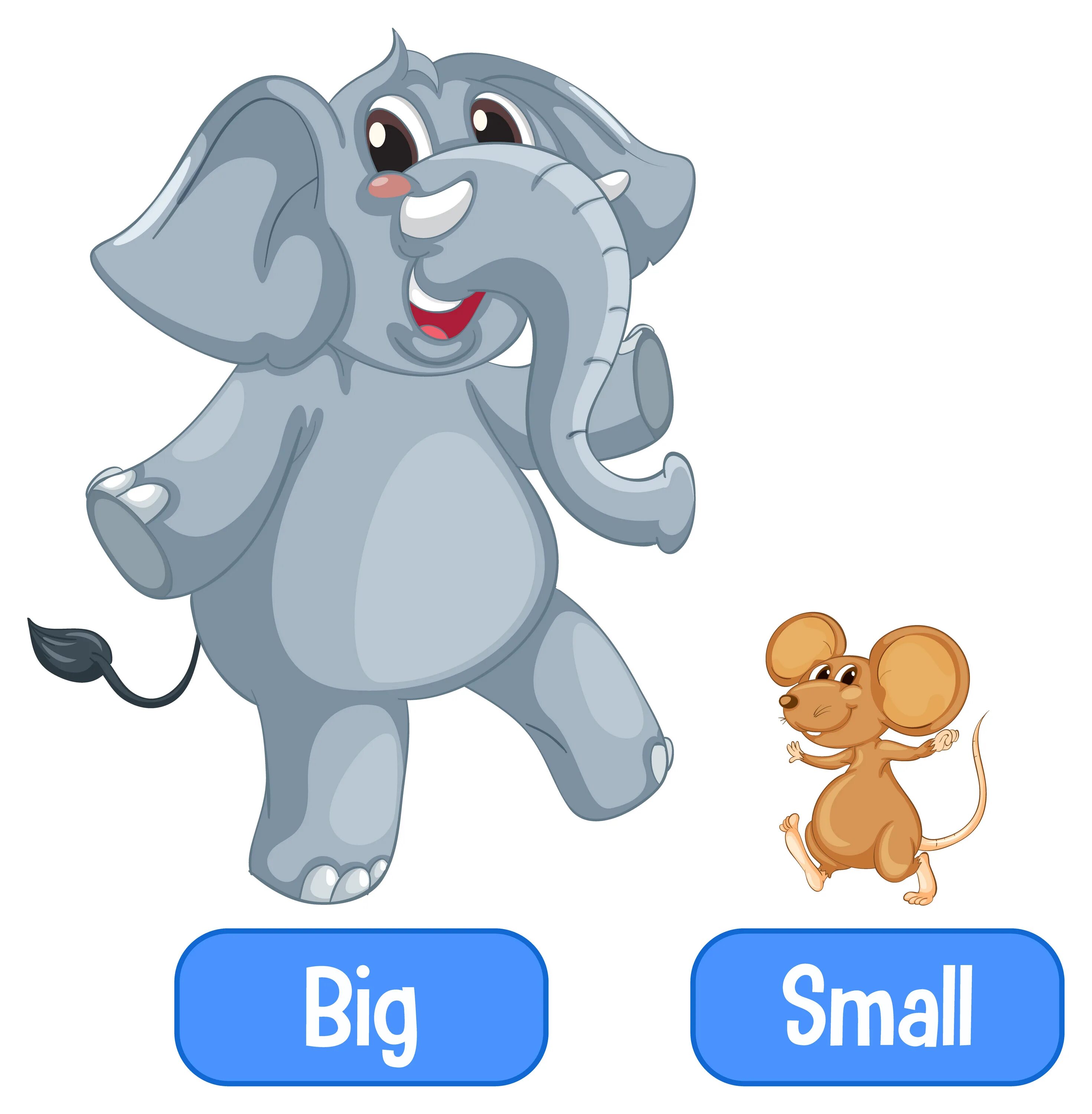 Тини перевод. Big small для детей. Презентация big small. Английский big small. Big and small 2 класс.