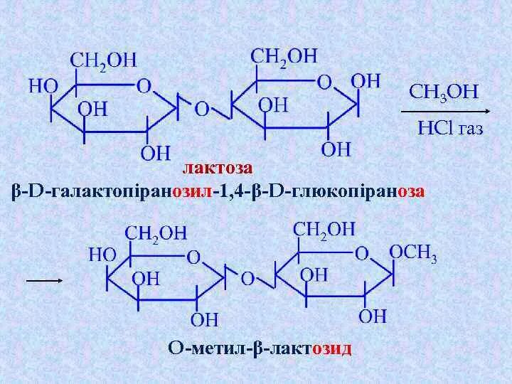 Ch3oh hcl. Метил бета д глюкопиранозид гидролиз. Реакция гидролиза лактозы. Метил галактопиранозид. Гидролиз галактопиранозида.