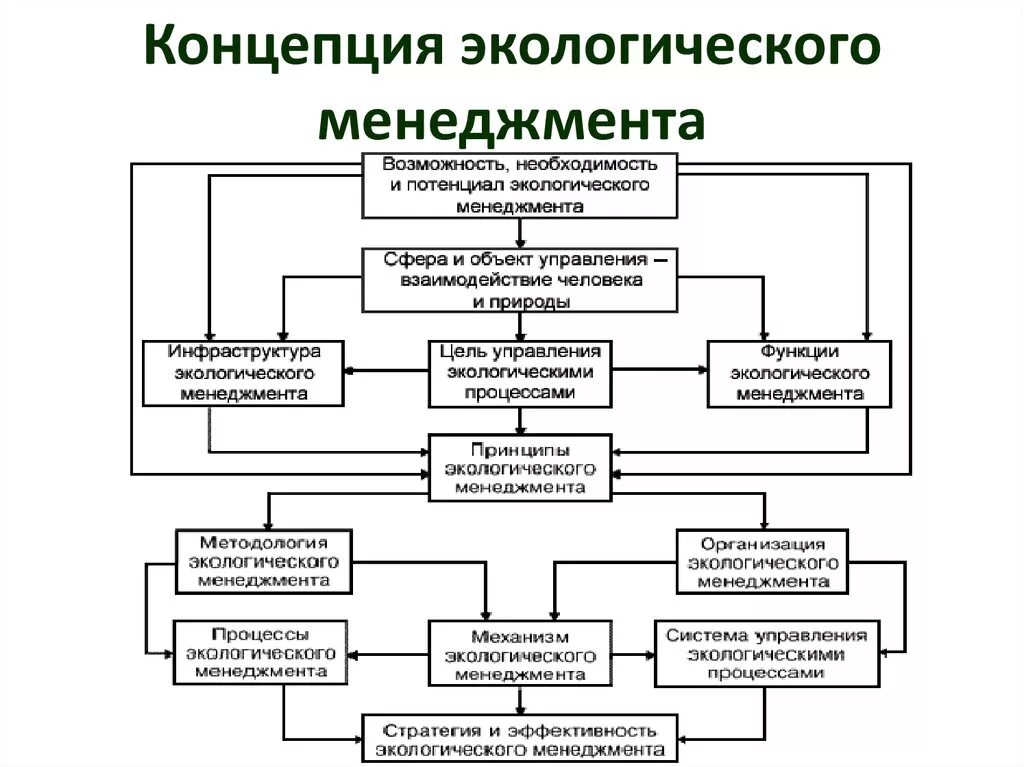 Основные элементы системы экологического менеджмента. Функции экологического менеджмента схемы. Составляющие концепции экологического менеджмента. Последовательность этапов системы экологического менеджмента.