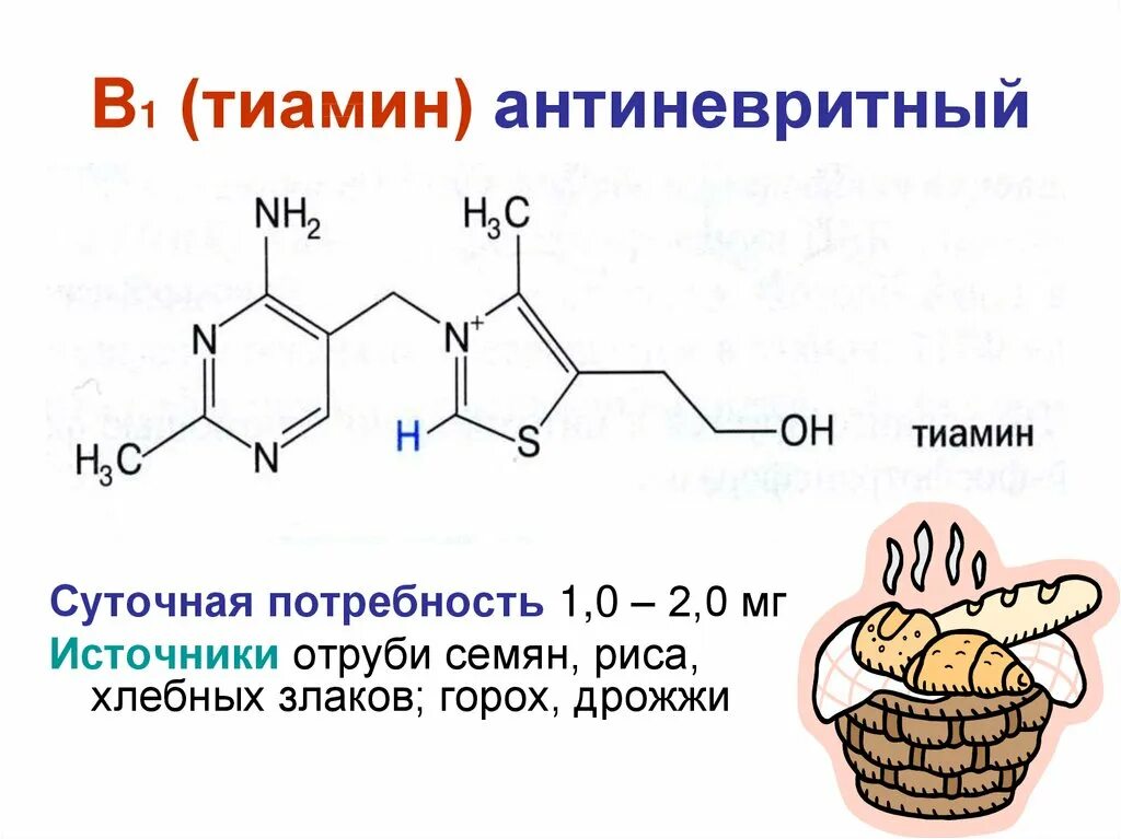 антивитамины биохимия. тиамин ретинол. витамин б1 тиамин формула. витамин b1 тиамин функции. тиамин ретинол.