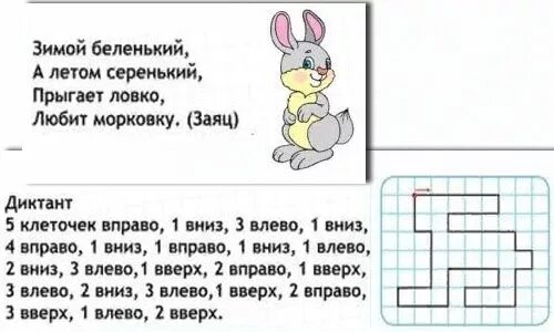 Диктант заяц. Диктант заяц