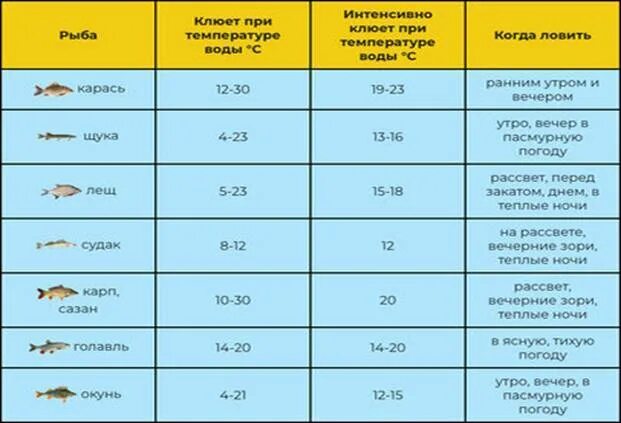 При какой температуре воды клюет карась весной