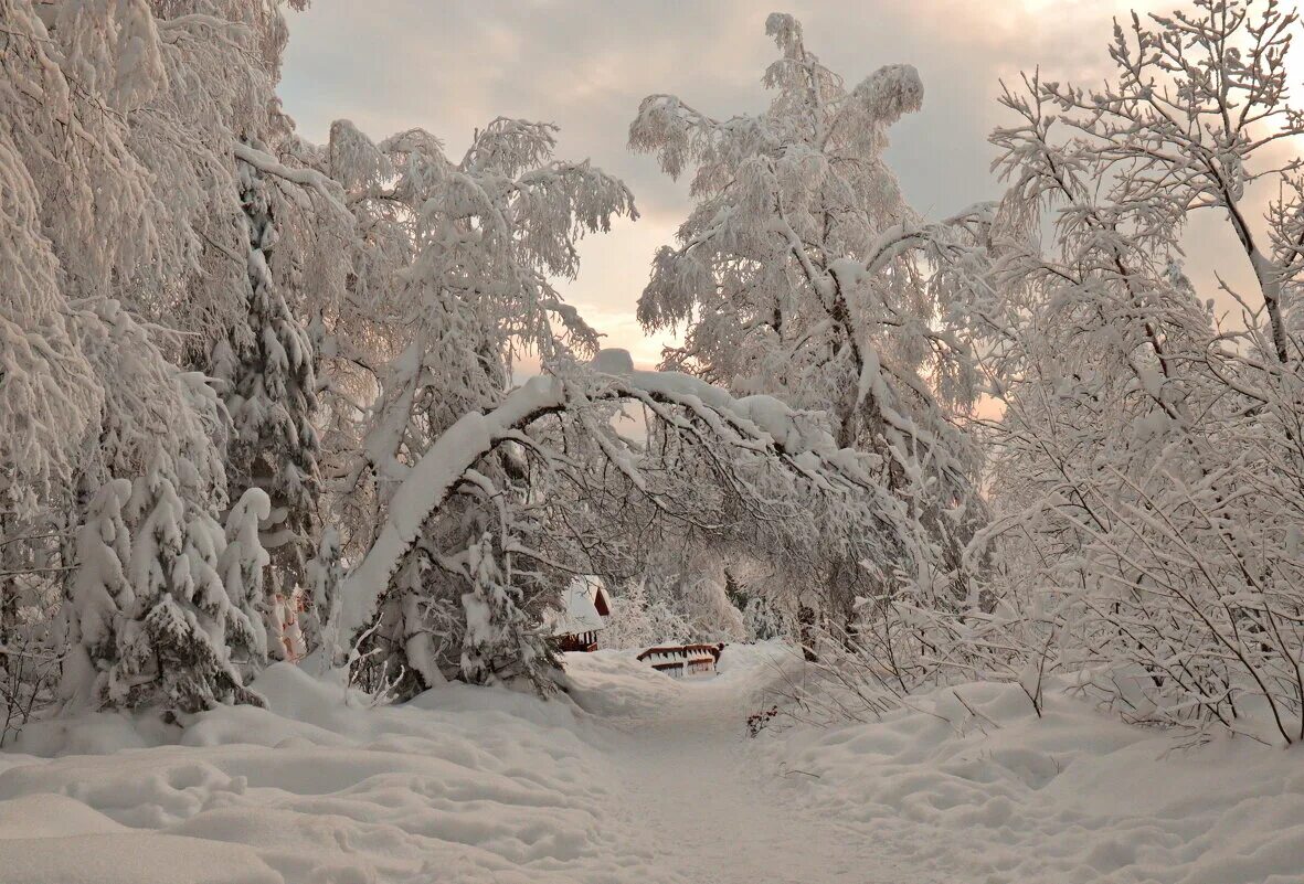 под тяжестью снега