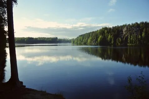 Полянское ленинградская область