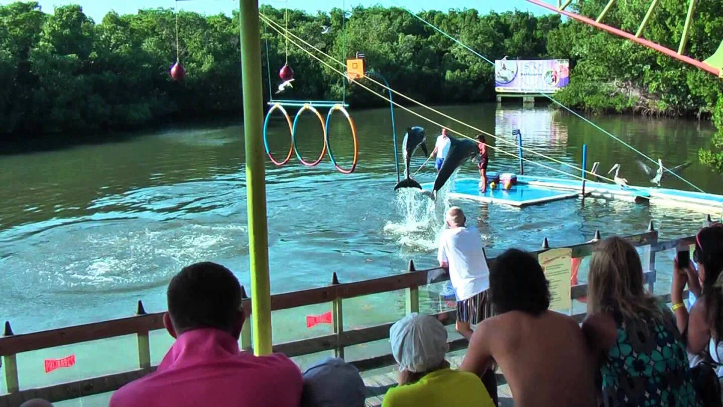 Дельфинарий варадеро. Фото дельфинарий Варадеро. Парк Хосоне Куба. Varadero Dolphinarium.