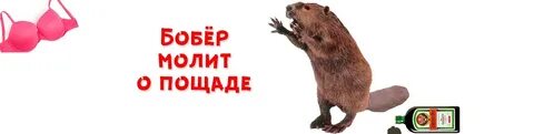 Моли о пощаде