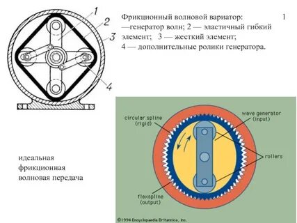 Волновая зубчатая передача