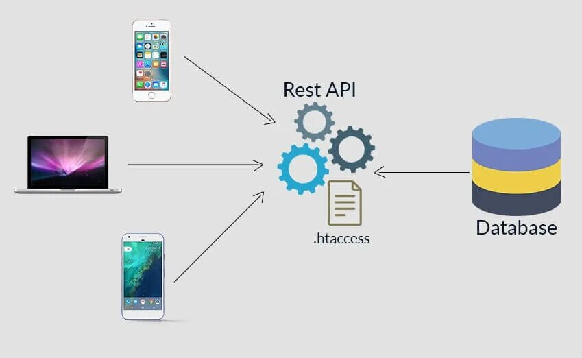 Веб сервис и веб сайт. Webapi. Веб API. Web-API сервис. Веб сервис.