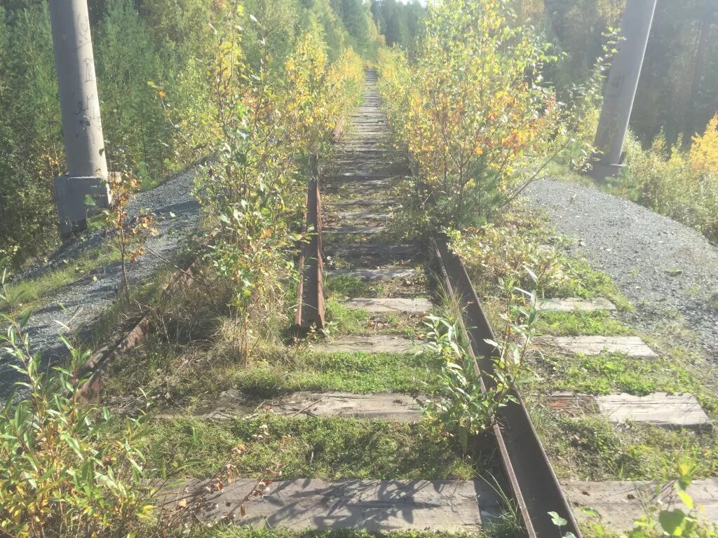 Я шел по проселочной дороге впр 6. Смоленская ГРЭС железная дорога. Брошенные железные дороги в Кировской области. Брошенная железная дорога в лесу. Валутино Сошно Железнодорожная линия.