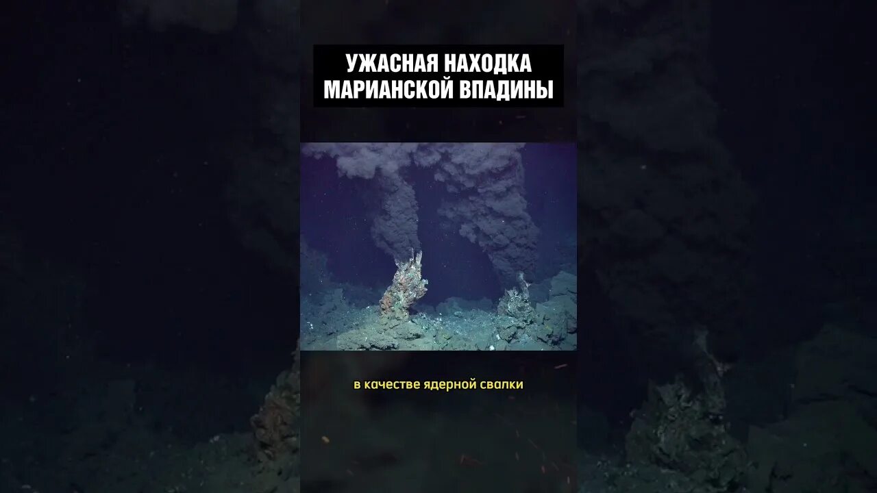Жуткая находка на дне марианской впадины 2003 года. Жуткая находка на дне марианской впадины 2003. Что на дне марианской впадины. Находки на дне марианской впадины. Рыбы марианской впадины фото.