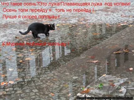 Ребячьи дожди