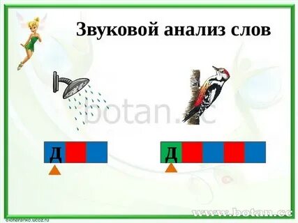 Дятел слоги