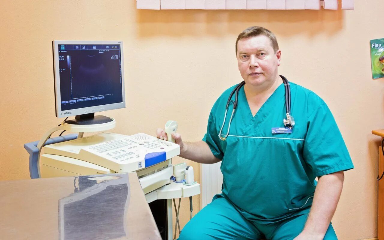 Ветеринарная калининград. Муромцев ветеринар калининград. калининград ветеринар александр муромцев. никитин ветеринар железногорск. ветеринарная клиника на первомайской.