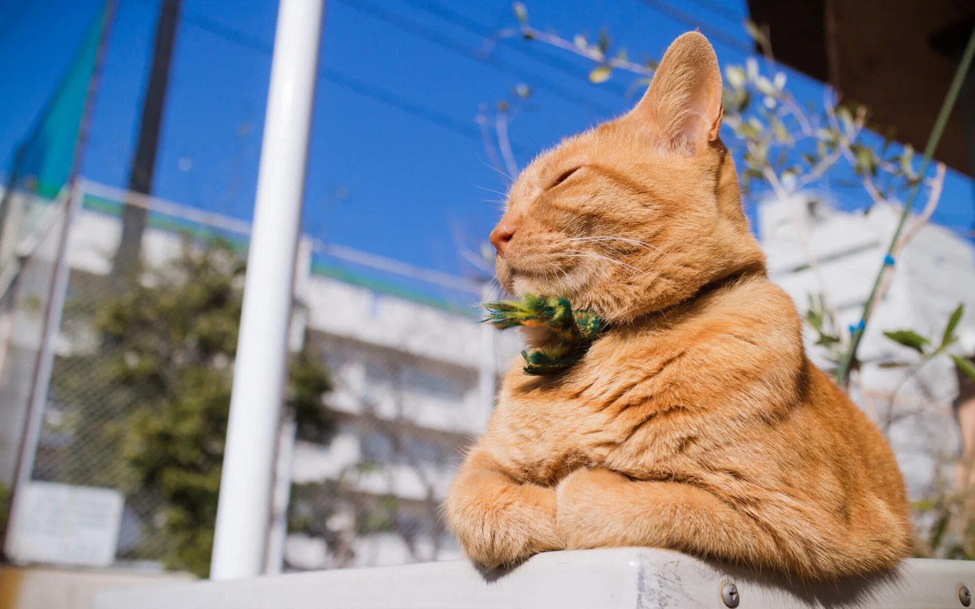 Счастливая девушка. Фантастический вид из окна. Довольно тепло. Парень с девушкой зимой. Романтические картины для спальни.