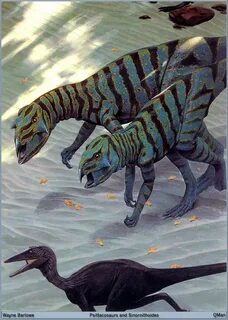 As we walked around the prehistoric