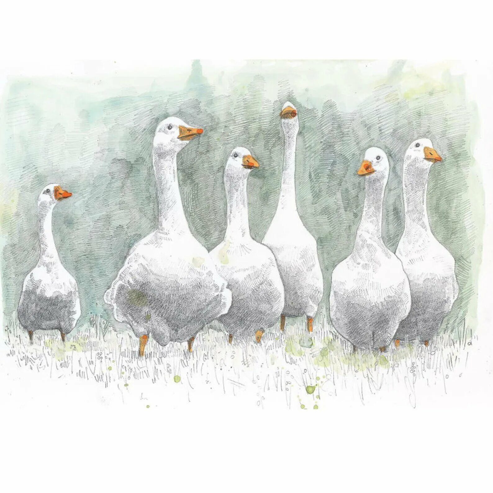 Гусь арты. Милые рисунки гуся. Милый гусь. Гусь с сердечком. Милые рисунки гуся.