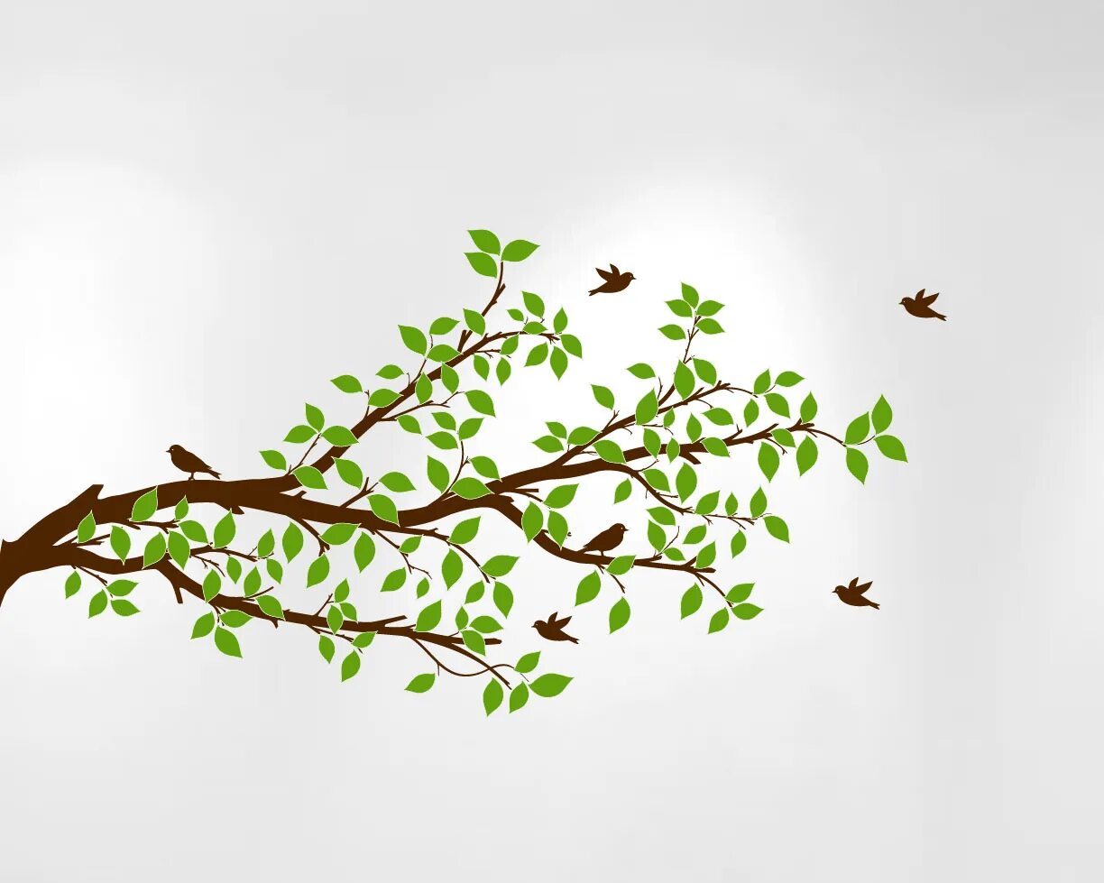 Branch lives