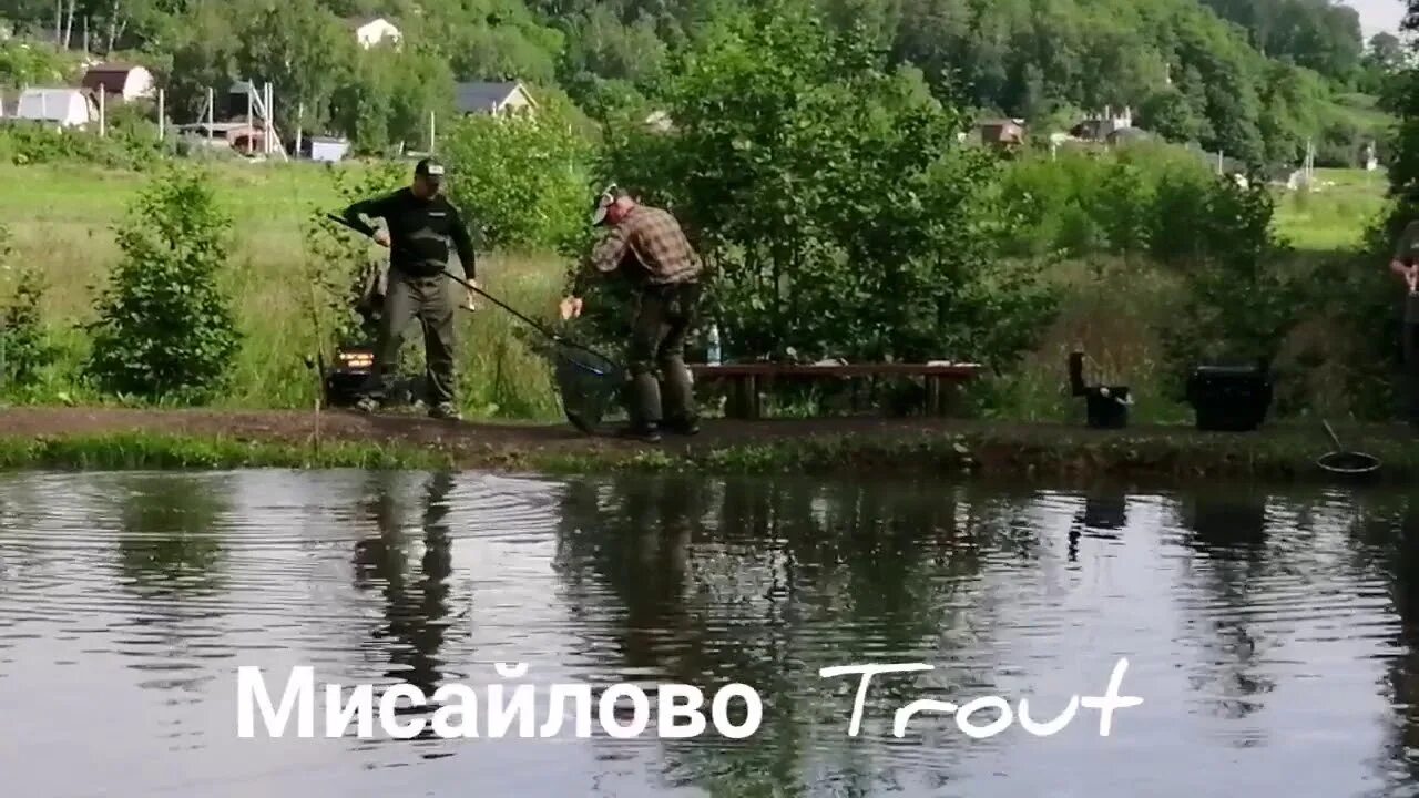 Рыбин гуд рыбалка. Мисайлово форель. Рыбалка мисайлово траут. Рыбалка мисайлово траут. Мисайлово trout.