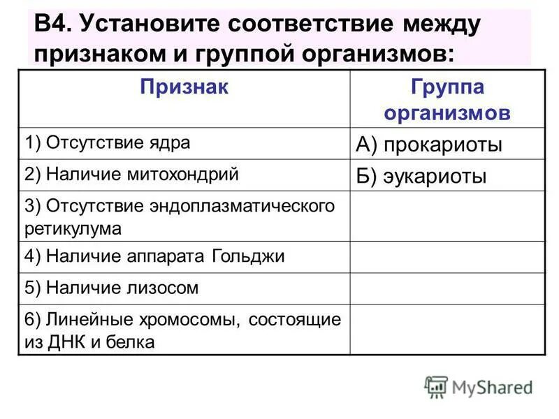 установите соответствие между признаком и группой организмов. установите соответствие между животными и. установите соответствие между сферами и сферами жизни общества. установите соответствие между признаком и группой организмов. установи соответствие между признаками ген.