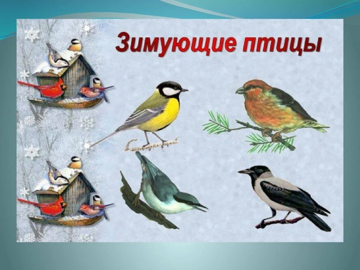 К тем птицам которые. К тем птицам которые