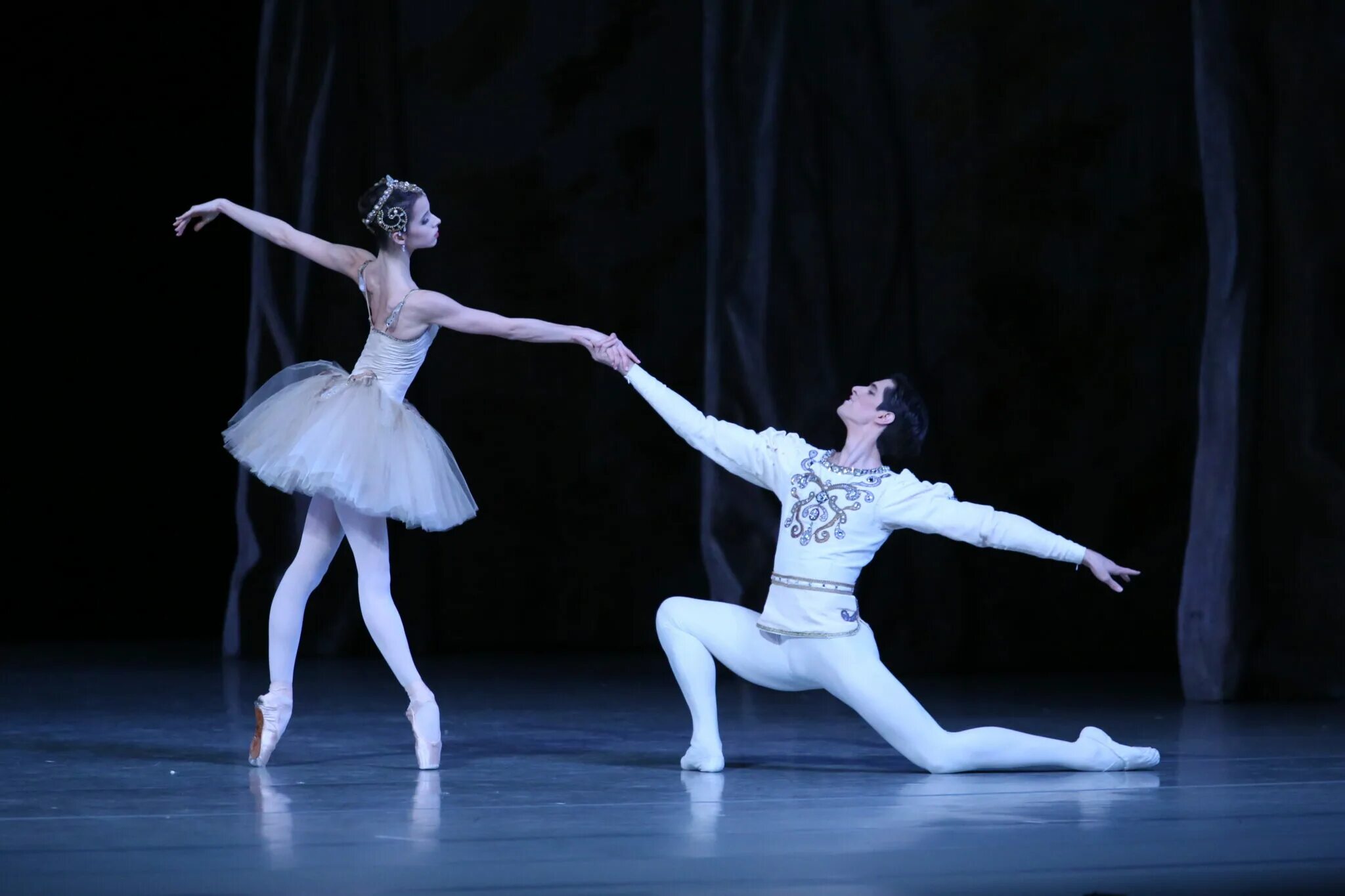 балет щелкунчик балет лебединое. либретто балета "щелкунчик" п. балет спящая красавица петипа. балет щелкунчик балет лебединое. щелкунчик балет театр оперы и балета нижний новгород.