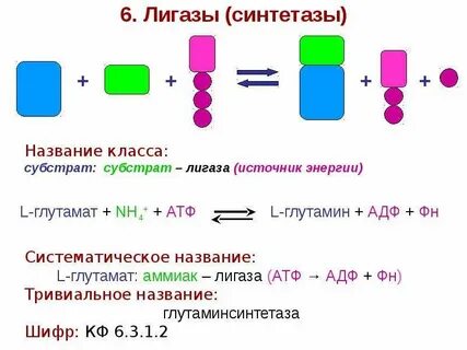 Лигаза
