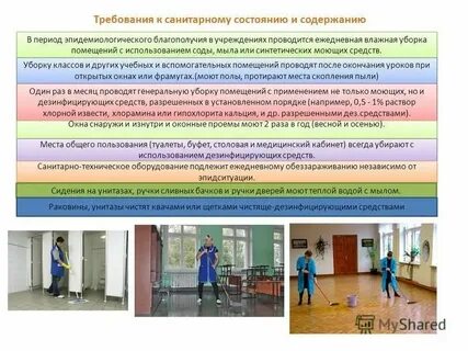 Санитарное состояние школы