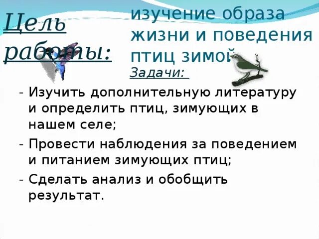 Цель работы птицы нашего. Управление поведением птиц. Примеры сложного поведения птиц. Птичка сделать анализ.