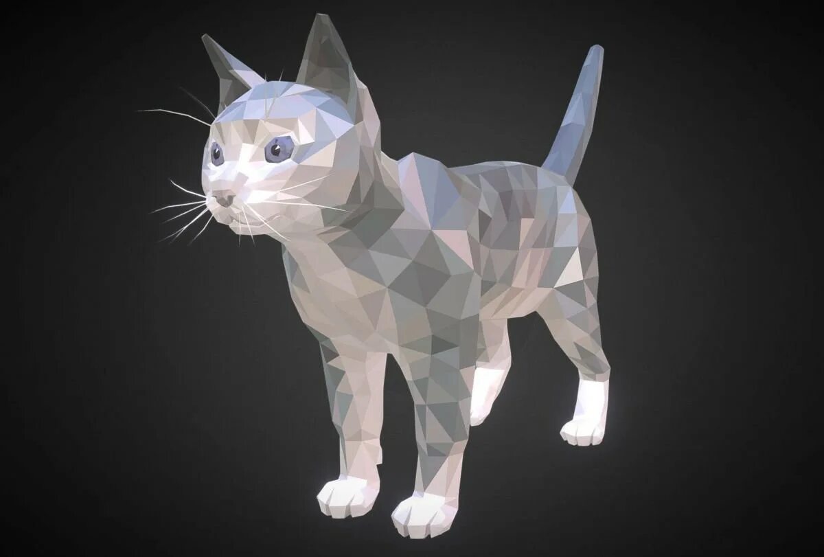 Rekin 3d. Полигональное 3d-моделирование. Cat Low Poly 3d model. Трехмерное моделирование. Трехмерная Графика.