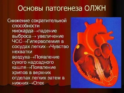 Сократительная способность миокарда