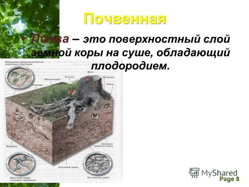 почва результат воздействия и на литосферу. почва рыхлый поверхностный слой суши обладающий плодородием. почва рыхлый поверхностный слой суши. назовите основные типы поч. тонкий слой суши который обладает плодородием.