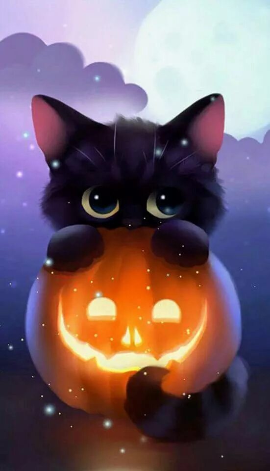 Pin by Safy on k i t t y Kittens cutest, Cute baby animals, Cute cats