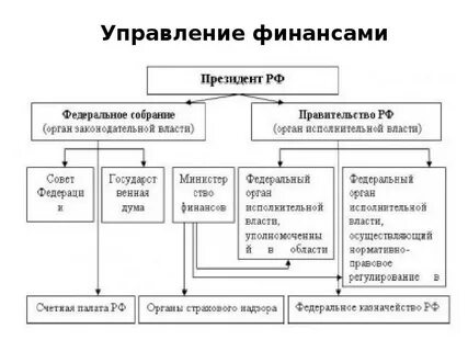 Управление организациями бюджетного сектора