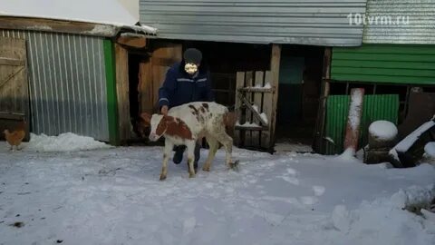 Погода мордовия карьга